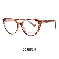 TR90 plastic frame or glasses with blue light protection, with spring hinges FA23006