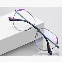 Metal Blue Blocker frames for glasses, with flex hinges MORE FCS3079