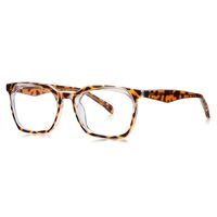 Plastic TR90 frame for glasses with UV protection and spring hinges More LS011