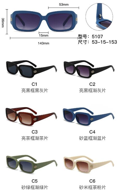 PC plastic sunglasses with metal hinge 5107W