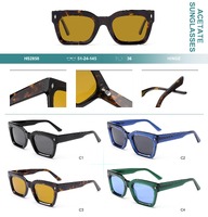 Polarized acetate plastic sunglasses Big City HS2858