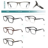 Acetate plastic frames for glasses with spring hinges Big City F3039