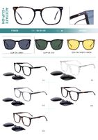 Plastic acetate frame with flex hinges + polarized clip-on Big City F3002S