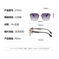 Plastic + metal retro sunglasses Elit ZTT032-EL