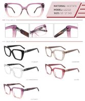 Plastic acetate frame with spring hinges LE2023-DA