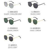 Polarized metal sunglasses with UV400 protection 2966-GT