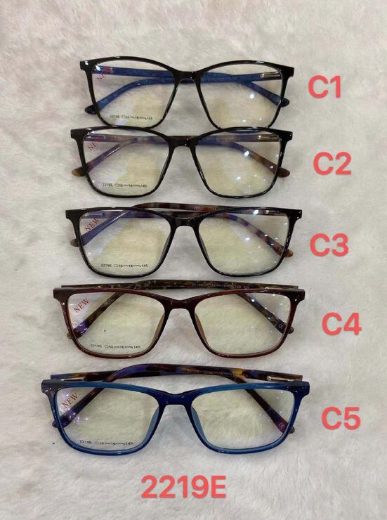 TR-90 plastic frame 2219E