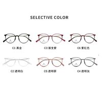 Hybrid frame, titanium alloy + TR90 SANTA M8007