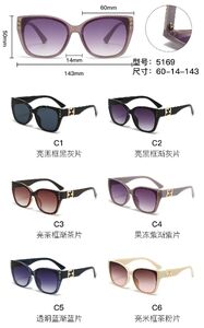 PC plastic sunglasses with metal hinge 5169W
