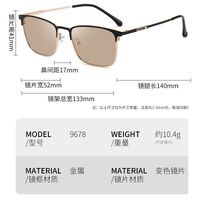 Photochromic glasses with blue light and UV protection 9678-GT