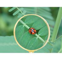 Magnifier, magnifying glass with handle 双玉52红色-XX-1, diameter: 52 mm, magnification: 10X