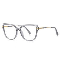 Plastic TR90 frames for glasses with Blue Ray Cut protection and flex hinges FOCUS FCS2210