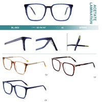 Plastic frames for glasses, acetate lamination with spring hinges Big City BL-2822