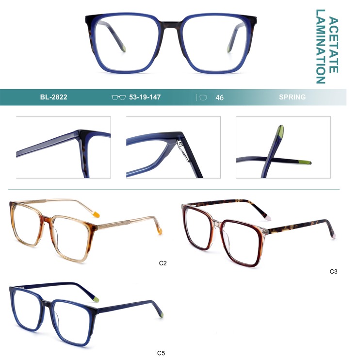 Plastic frames for glasses, acetate lamination with spring hinges Big City BL-2822