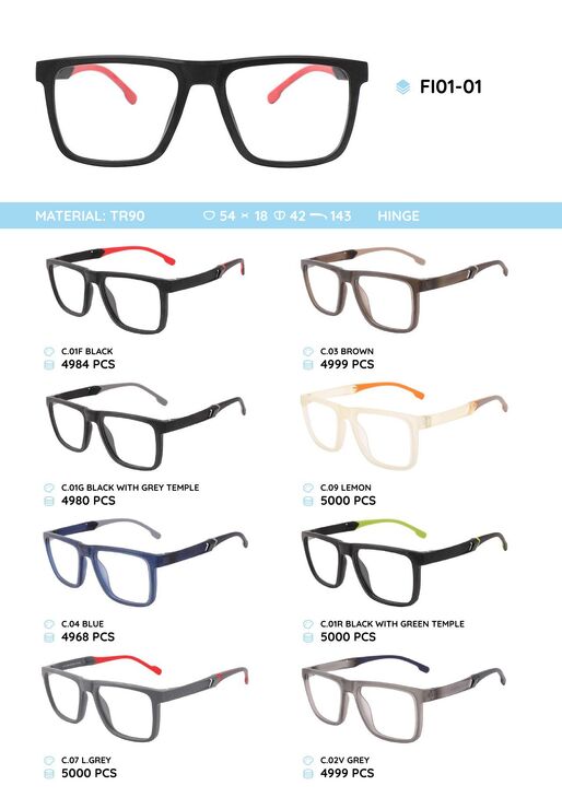 TR90 plastic eyeglasses frame FI01-01