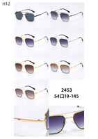 Polarized metal sunglasses H12 Matrix MT2453