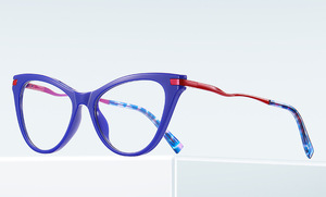 Оправа пластиковая, материал TR-90+CA (флекс!) FOCUS FCS2109