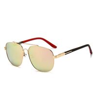 Polarized metal sunglasses with UV400 protection 2924-GT