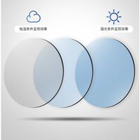 Photochromic glasses with blue light and UV protection 9651-GT