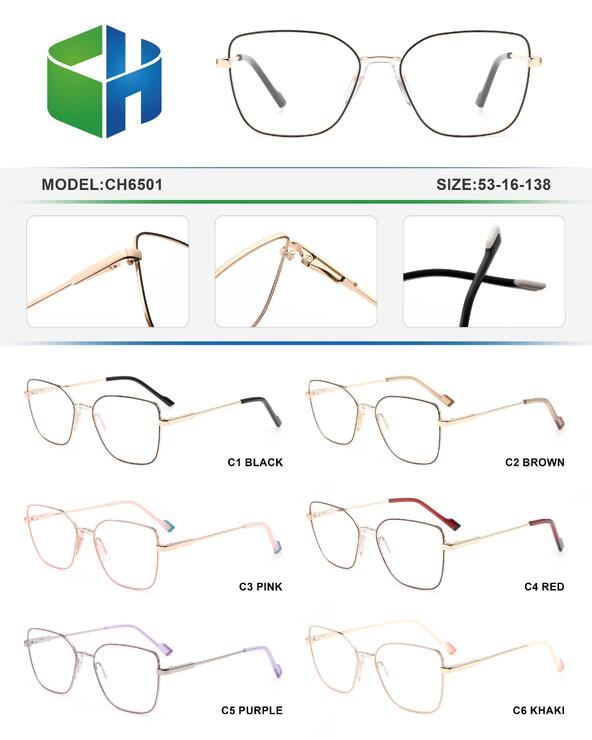 Metal frame with spring hinges CH6501-DA