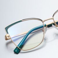 Metal Blue Blocker frames for glasses MORE FCS3104