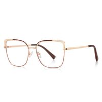 Metal Blue Blocker frames for glasses MORE FCS3114
