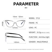 Plastic frame with anti-blue light protection lenses, with spring hinges Elit 5712-EL