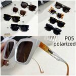 Polarized metal + TR90 sunglasses P05KY 2975