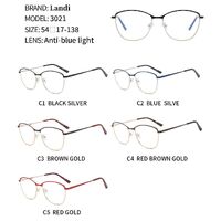 Protective metal glasses with anti-blue light lenses Landi LD3021