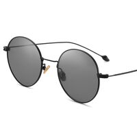 Photochromic glasses with blue light and UV protection 9625-GT