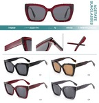 Поляризационные солнцезащитные пластиковые очки из материала ацетат Big City HS2820