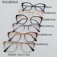 Metal + TR90 plastic ultrathin women's frames with spring hinges Wilibolo TR3079