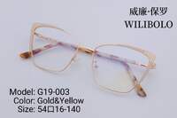 Оправа металл + TR90 ультратонкая женская с флексом Wilibolo G19-003