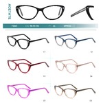 Acetate plastic frames for glasses with spring hinges Big City F3045