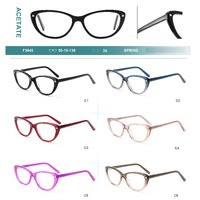 Acetate plastic frames for glasses with spring hinges Big City F3045