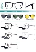 Plastic acetate frame with flex hinges + polarized clip-on Big City F3006S