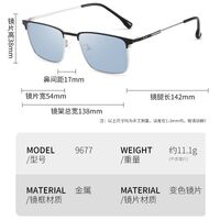 Photochromic glasses with blue light and UV protection 9679-GT
