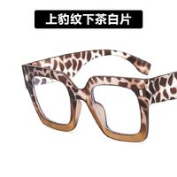 Очки пластиковые женские с защитой от синего света 4168-500-PN