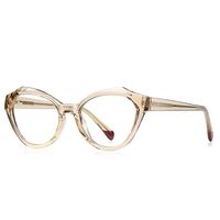 Оправа пластиковая из материала TR-90 с флексом FOCUS FCS2141