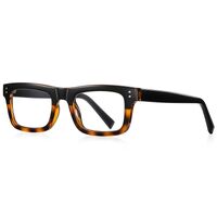 Plastic TR90 frames for glasses with Blue Ray Cut protection FOCUS FCS2193