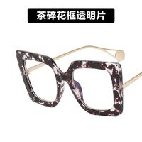 Очки пластиковые женские с защитой от синего света 1916-PN