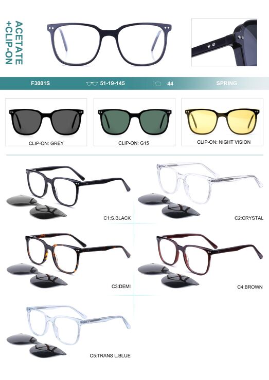 Plastic acetate frame, with flex hinges + polarized clip-on Big City F3001S