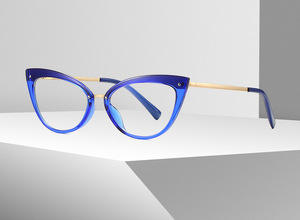 Plastic frames for glasses TR90+CA material (flex hinges) FOCUS FCS2070