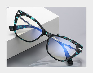 Plastic frames for glasses TR90+CA material (flex hinges) FOCUS FCS2107