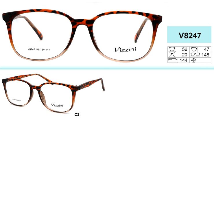 Plastic frames for glasses VIZZINI V8247