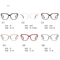 Plastic TR90 frames for glasses with Blue Ray Cut protection and flex hinges FOCUS FCS2210