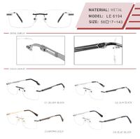 Оправа металлическая безободковая на винтах мужская с флексом LE6194-DA