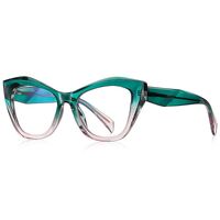 Plastic TR90 frames for glasses with Blue Ray Cut protection and flex hinges FOCUS FCS2197