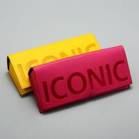 Футляр для очков и солнцезащитных очков JQ60017 (под заказ, ожидание 30 дней)