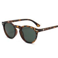 Поляризационные солнцезащитные пластиковые очки с защитой UV400 2947-2-GT